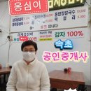 설악비치공인중개사사무소 | 속초 부동산 임원 회의 섬 세부 막탄 해외 여행 태닝...가시오가피 공인중개사 폭설 국내 넥스트레이드...