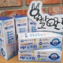왕눈이코알라