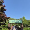상소동 산림욕장(하) | 🌲 상소동 산림욕장 후기
