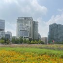 익명의 고민에 손편지로 답장, 온기우체부 봉사 활동 후기