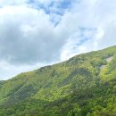 보현산자연휴양림 산 이미지