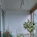 평내동대주 1차아파트 이미지