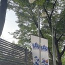 연투데이 | <야구 직관 후기> 20250705 두산베어스 (최원준) vs...6:2 승리 렛두로데이 네이비 304블럭 4열 시야