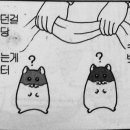 오토리버스 - 수원시 영통구 광교중앙로37번길 5 | 오토리버스