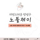 디자인결