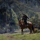 Kingdom of The Planet of The Apes 2024 | 세상, 인간은 더 이상 중심이 아니다 - 혹성탈출 : 새로운 시대(Kingdom of the Planet of the Apes, 2024)