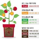 중화초등학교 네이버블로그