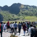 제주대지공인중개사사무소 이미지