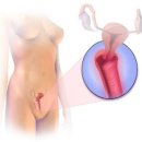 내강한의원 이미지