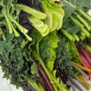 충실농장 이미지