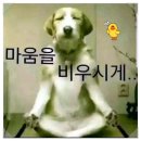 보인당
