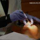 연세크리스마스치과의원 | 목동치과 연세크리스마스치과의원 목동 최고의 치과