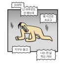 대일과자 이미지