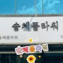 솔체플라워