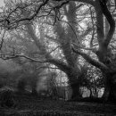 가이드치과병원 이미지