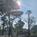 칠봉 송정 캠핑장 이미지