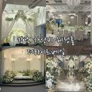 남부터미널4번출구약국 | 강남 가성비 웨딩홀 남부터미널역 더화이트베일 견적 공유 2026년 하반기