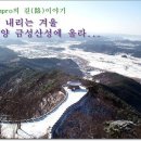 금성방역 이미지
