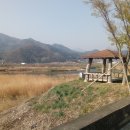 수동참마트