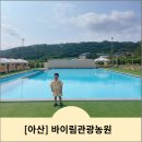 동화리관광농원 | 아산 &lt;바이림관광농원&gt; 취사가능한 야외 수영장 / 바베큐 후기
