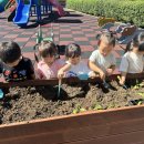 정토원광어린이집 이미지