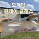 모가당 이미지
