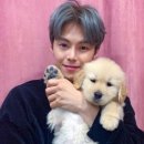 박은석 카카오 검색결과