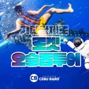 바로투어 네이버블로그