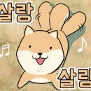 보리네민박 이미지