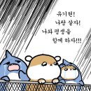 다뽑아가라 이미지