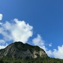 [제주도 가볼 만한 곳] 제주 4박 5일 여행코스, 숙소, 맛집 모음