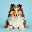 윤진약국 이미지