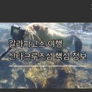 정애호태양광발전소 | 산타크루즈 섬 여행 완벽 가이드: 숙소, 맛집, 체험 정보