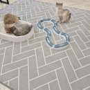 고양이별 캣 카페 이미지