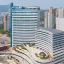 건국 행정사 이미지