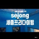 세종안전기술단주 | 세종이색데이트 추천｜세종프리다이빙 첫 도전 강습 후기