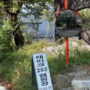 햄찌와베찌익스프레스