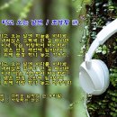 그린 비 타고 오는 날엔 / 조영황 시, 김성희 작곡 / 바리톤 송기창 이미지