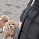 모미락 용현점 이미지