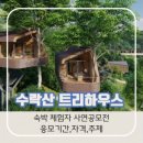트리하우스 이미지