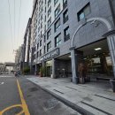 부산 가성비숙소 주니어 스위트 마란트 하우스 17평 부산역숙소 후기