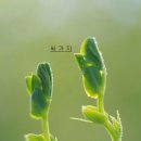 어원 이미지