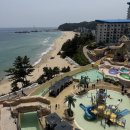 다겸시스템 | 리조트 슈페리어파셜오션뷰 동해가볼만한곳 동해여행 삼척여행 가족&연인여행 쏠비치삼척조식 방문이용후기