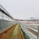 양평샘꼴농장 이미지