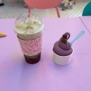우진목장 | 커플여행일정 호텔 맛집 놀거리 핫플 총정리 (신라호텔·곰막회국수·우뭇개해변·할머니떡집·대한목장)