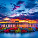 대진항 해상공원 이미지