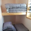 디디모스 이미지