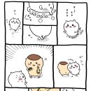 쿠리
