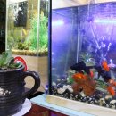 초원다방 이미지