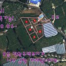 남원읍-23 Daum카페